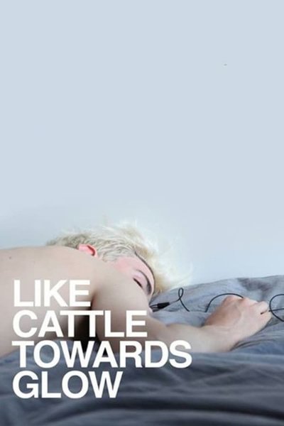 Póster de Like Cattle Towards Glow