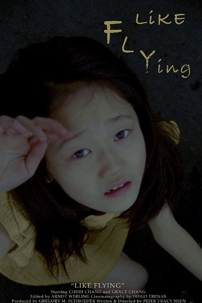 Póster de Like Flying