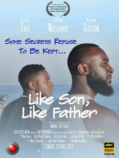 Póster de Like Son, Like Father
