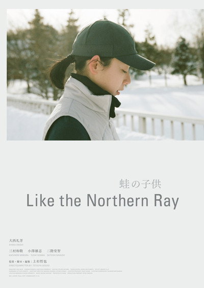 Póster de Like the Northern Ray