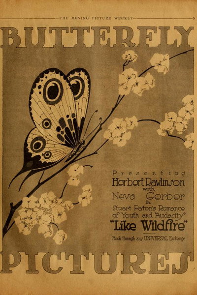 Póster de Like Wildfire