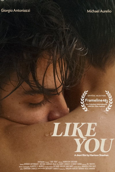 Póster de Like You