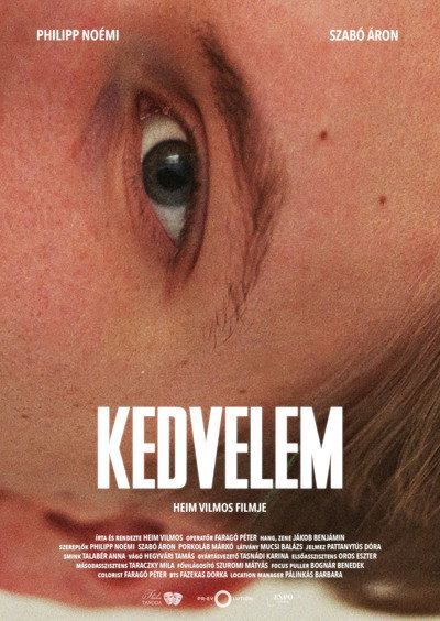 Póster de Liked It