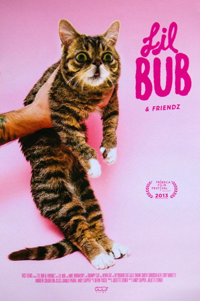 Póster de Lil Bub & Friendz