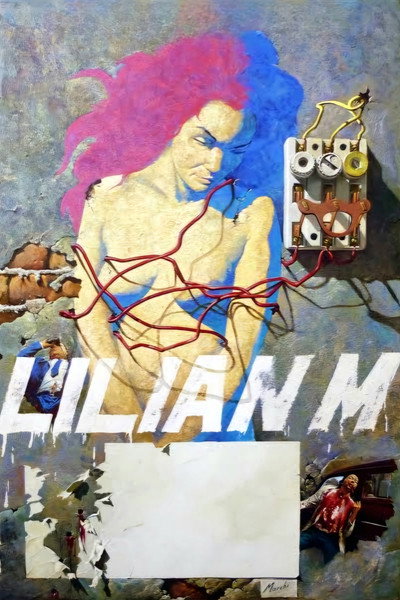 Póster de Lilian M.: Confidential Report