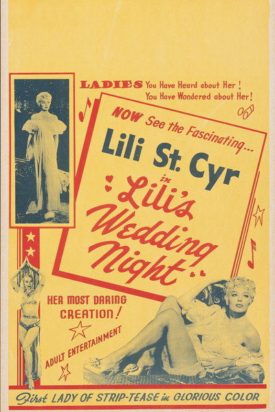 Póster de Lili's Wedding Night