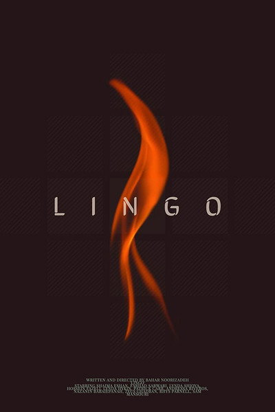 Póster de Lingo
