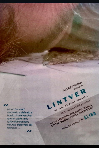 Póster de Lintver