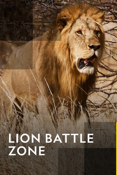 Póster de Lion Battle Zone