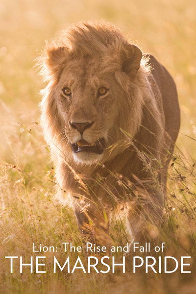 Póster de Lion: The Rise and Fall of the Marsh Pride