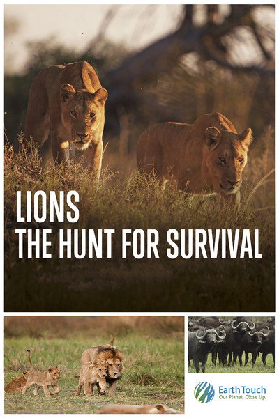 Póster de Lions: The Hunt for Survival