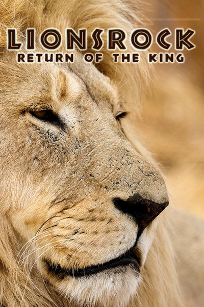 Póster de Lionsrock: Return of the King