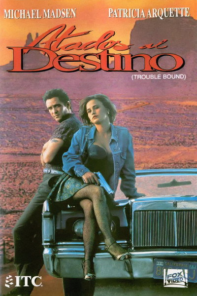 Póster de Líos unidos