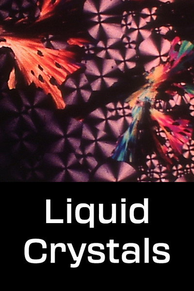 Póster de Liquid Crystals
