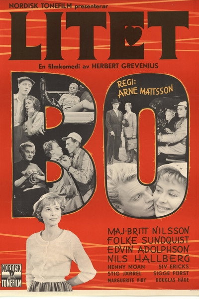 Póster de Litet bo