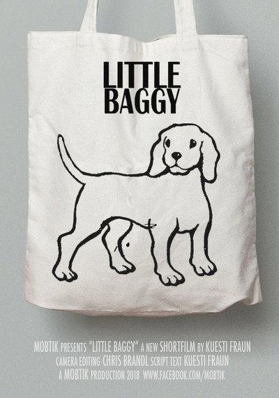 Póster de Little Baggy