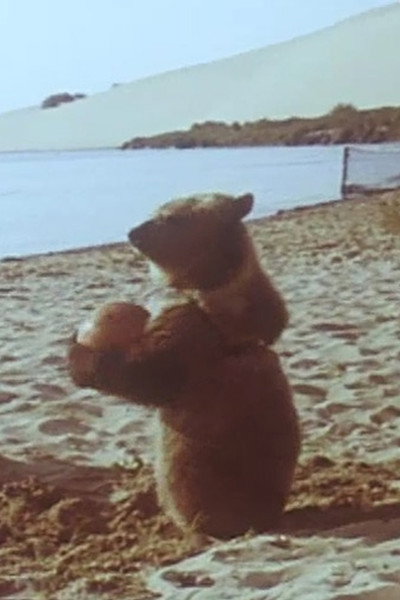 Póster de Little Bear