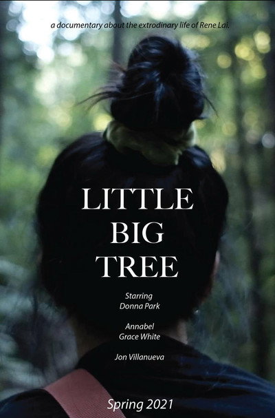 Póster de Little Big Tree