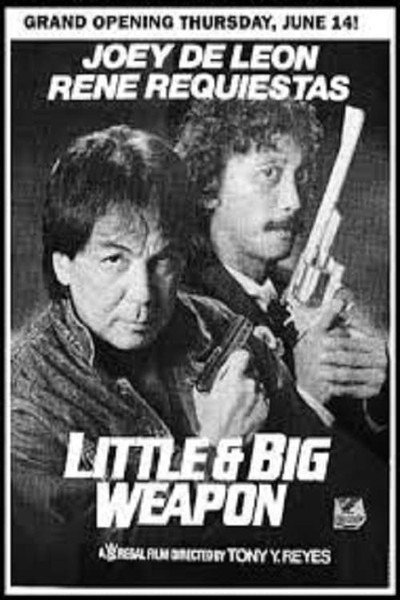 Póster de Little & Big Weapon