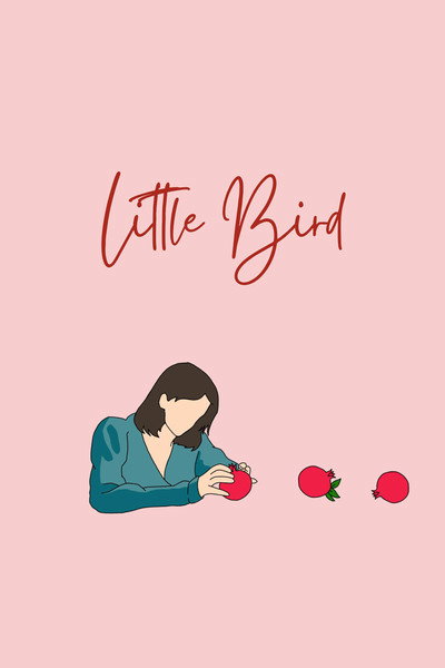Póster de Little Bird