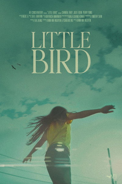 Póster de Little Bird