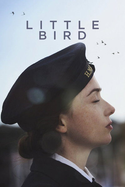 Póster de Little Bird