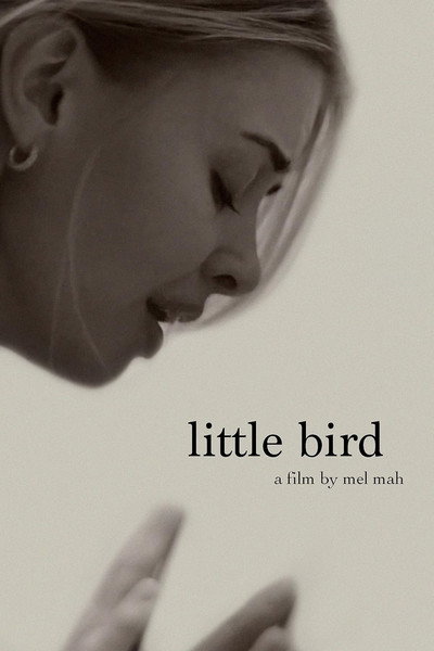 Póster de Little Bird