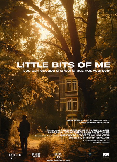 Póster de Little Bits of Me