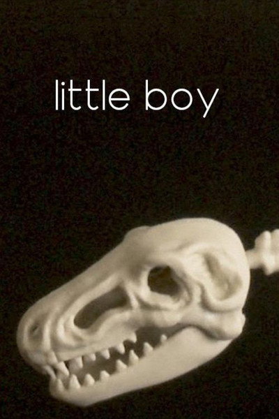 Póster de Little Boy