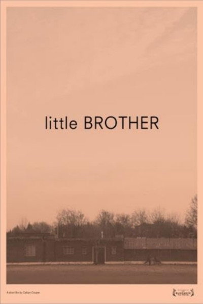 Póster de Little Brother