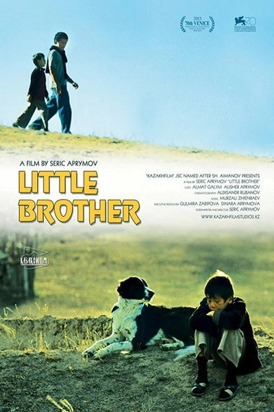 Póster de Little Brother