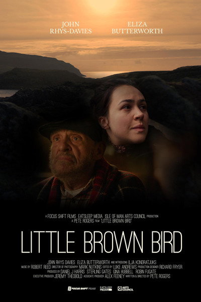 Póster de Little Brown Bird