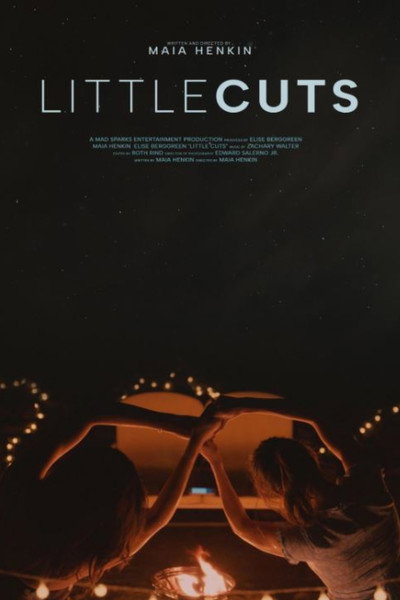 Póster de Little Cuts