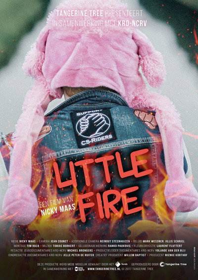 Póster de Little Fire