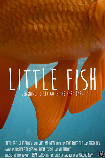 Póster de Little Fish