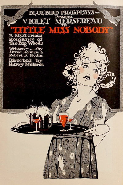 Póster de Little Miss Nobody