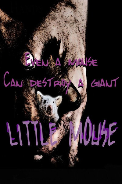 Póster de Little Mouse