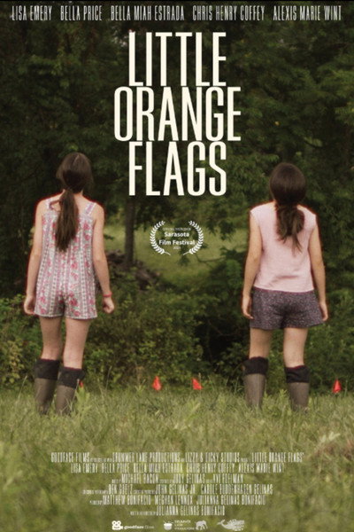 Póster de Little Orange Flags
