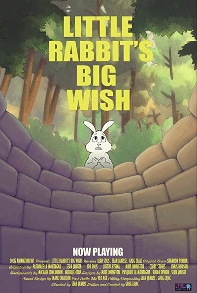 Póster de Little Rabbit's Big Wish