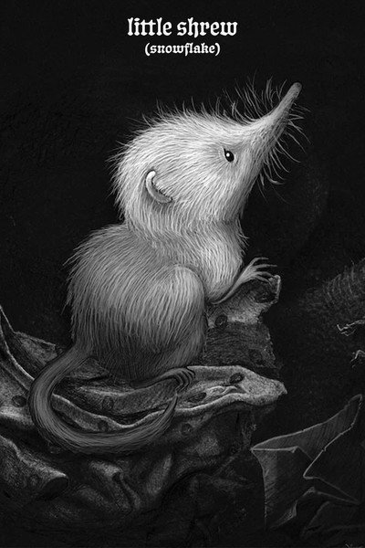 Póster de Little Shrew (Snowflake)