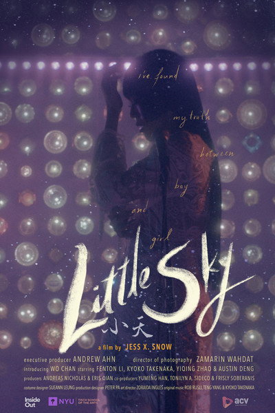 Póster de Little Sky