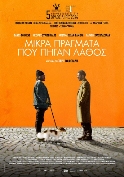 Póster de Little Things That Went Wrong