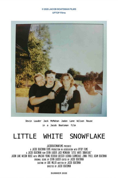 Póster de Little White Snowflake