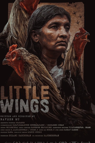 Póster de Little Wings