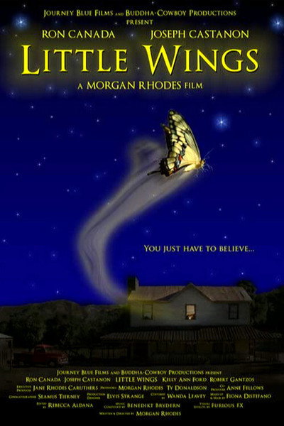 Póster de Little Wings