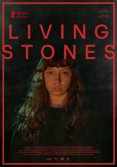 Póster de Living Stones