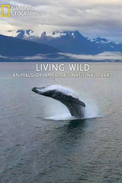 Póster de Living Wild: Animals of America's National Parks