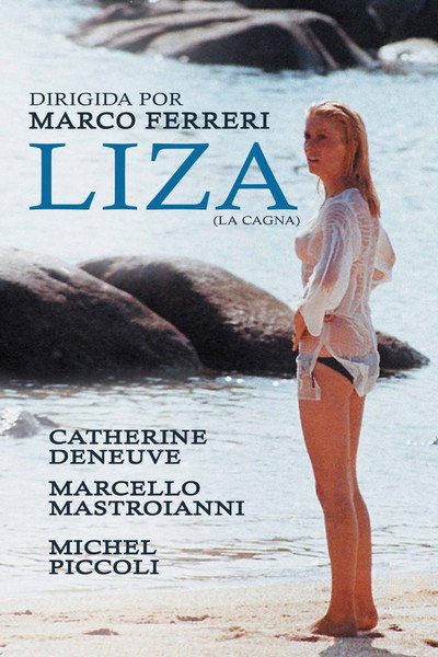 Póster de Liza