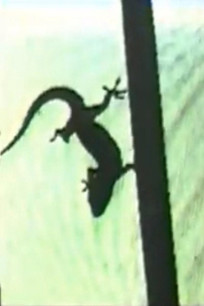 Póster de Lizard: How to Perform in Front of a Reptile