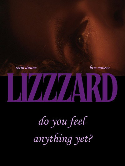 Póster de Lizzzard